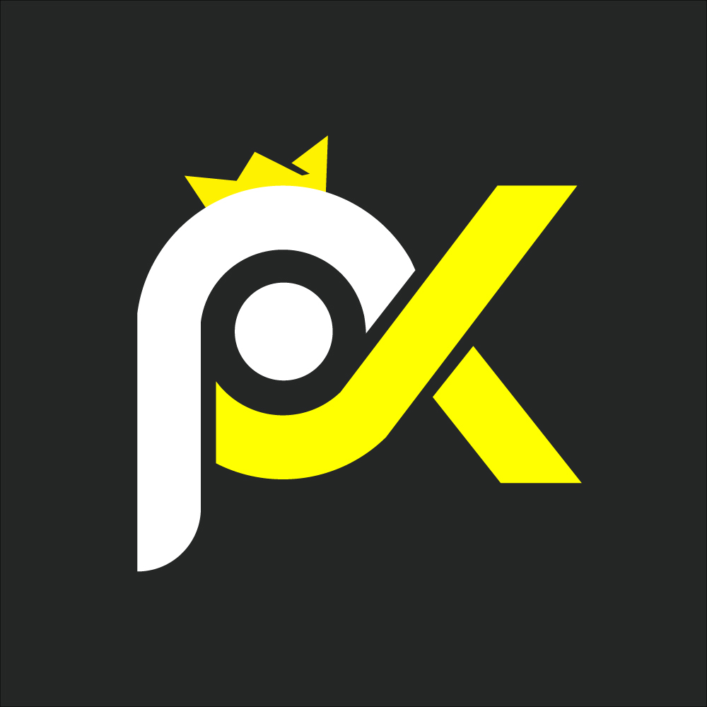 PROGRAMMING KINGS
